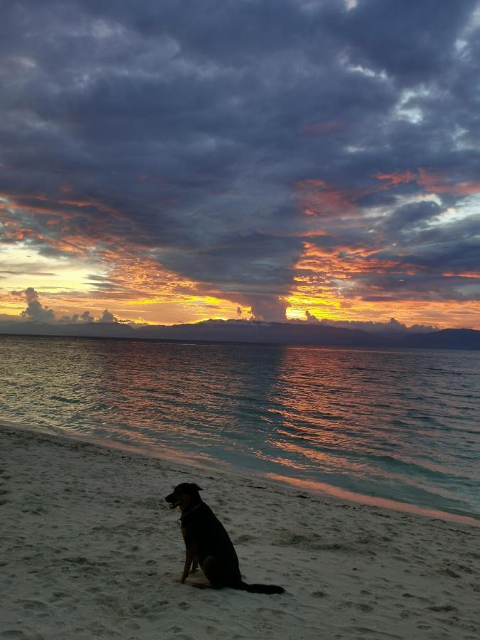 Ravenala Beach Bungalows Moalboal Buitenkant foto